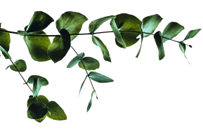 Ornament Bottom Right